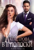 Обложка книги "Катастрофа в две полоски"