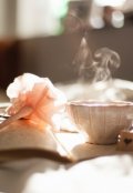 Обложка книги "Любовь шпионки"