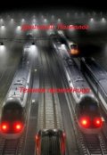 Обложка книги "Темная проводница"