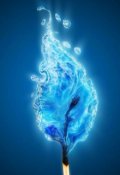 Обложка книги "Огонь и вода"