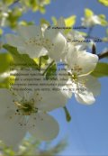 Обложка книги "В поисках себя. В поисках любви."