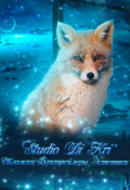 Обложка книги "Studio Di Kri "