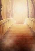 Обложка книги "Код бессмертия"