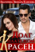 Обложка книги "Долг платежом красен"