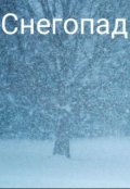 Обложка книги "Снегопад"