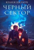 Обложка книги "Чёрный сектор"