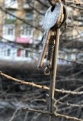 Обложка книги "На пути к новой жизни"