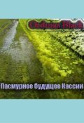 Обложка книги "Пасмурное будущее Кассии"
