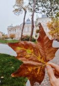 Обложка книги "Только когда попросишь"