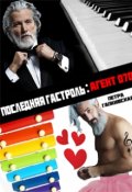 Обложка книги "Последняя гастроль : Агент 070 часть 2"