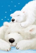 Обложка книги "Северное сияние"
