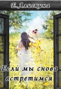 Обложка книги "Если мы снова встретимся"