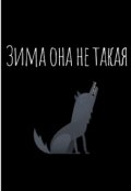 Обложка книги "Зима она не такая"