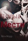 Обложка книги "Порыв мести"