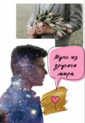 Обложка книги "Муж из другого мира"