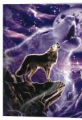 Обложка книги "Вой"