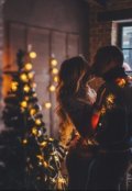 Обложка книги "Новогоднее приключение"