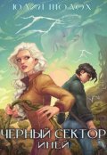 Обложка книги "Чёрный сектор. Иней"
