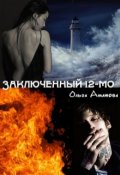 Обложка книги "Заключенный 12-мо"
