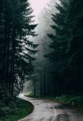 Обложка книги "Чаща"