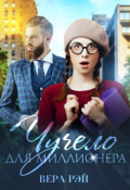 Обложка книги "Чучело для миллионера"