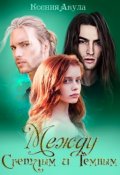 Обложка книги "Между Светлым и Темным"