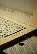Обложка книги "Переживания начинающего писателя"