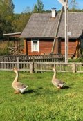 Обложка книги "Отдых в деревне"