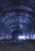 Обложка книги "Лабиринты подземелья"