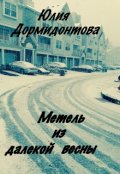 Обложка книги "Метель из далекой весны"