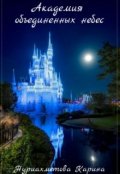 Обложка книги "Академия Объединенных Небес"