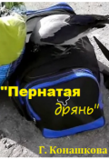 Обложка книги ""Пернатая дрянь" или моя подружайка Ворона"