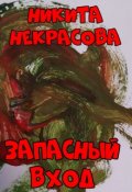Обложка книги "Запасный вход"