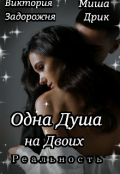 Обложка книги "Одна Душа на Двоих: Реальность"