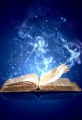 Обложка книги "Из дневника Вуали"