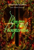 Обложка книги "Три дня до Рождества"