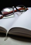 Обложка книги "Ежедневник"