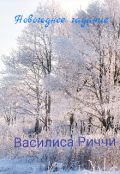 Обложка книги "Новогоднее гадание "