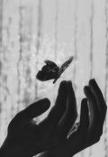 Обложка книги "Легенда о мотыльке"