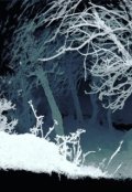 Обложка книги "Объемное компьютерное зрение"