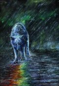 Обложка книги "Встретимся в сезон дождей"