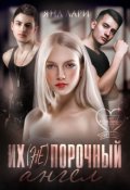 Обложка книги "Их (не)порочный ангел"