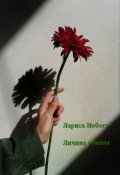 Обложка книги "Личина обмана"