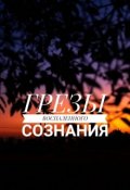 Обложка книги "Грезы воспаленного сознания "