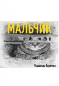 Обложка книги "Мальчик"