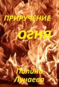 Обложка книги "Приручение огня"