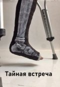 Обложка книги "Тайная встреча"