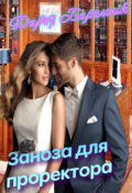 Обложка книги "Заноза для проректора"
