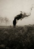 Обложка книги "Тени"