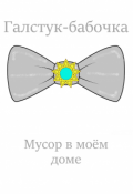 Обложка книги "Мусор в моём доме"